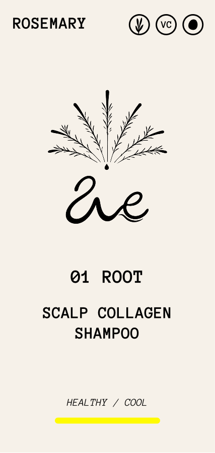 Root