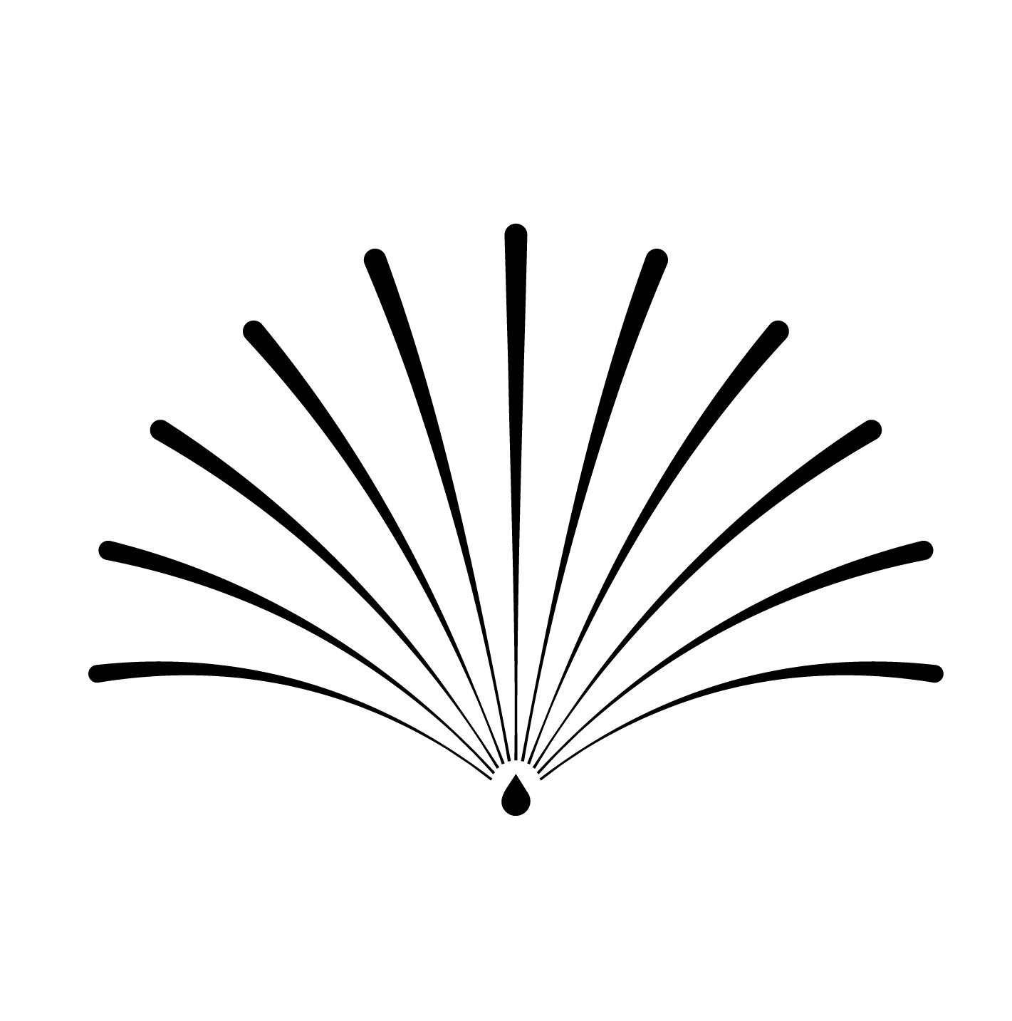 Root