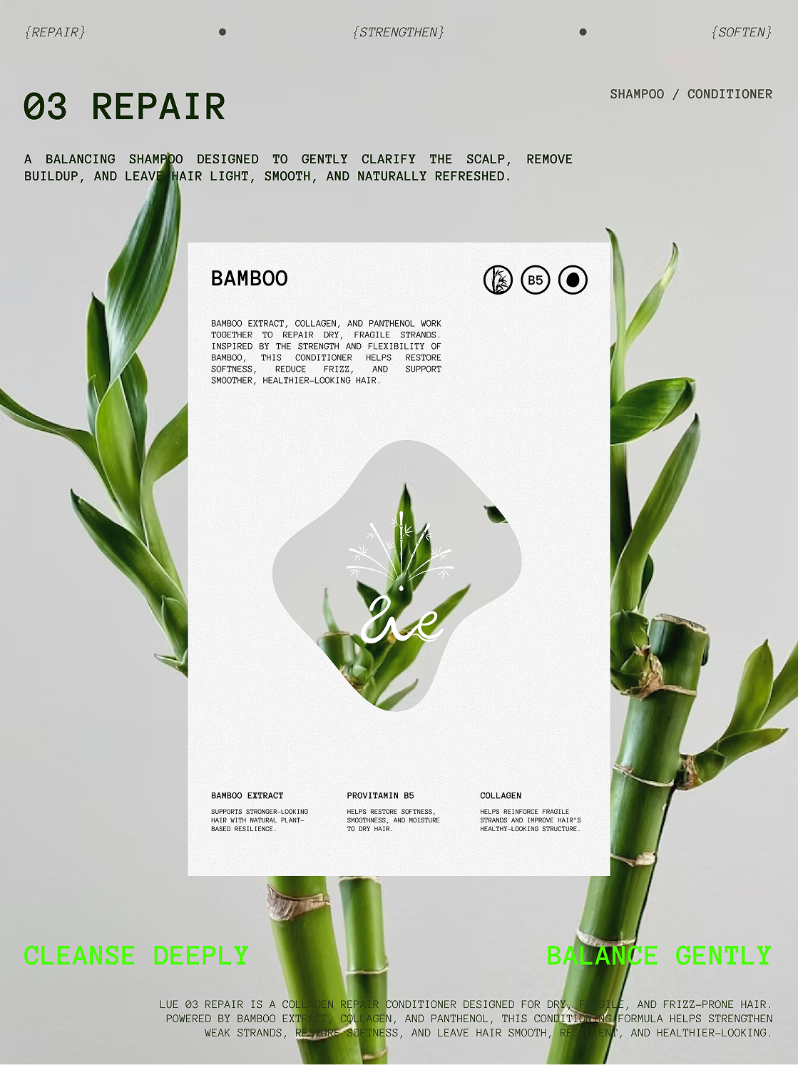 Poster — 03 Repair
